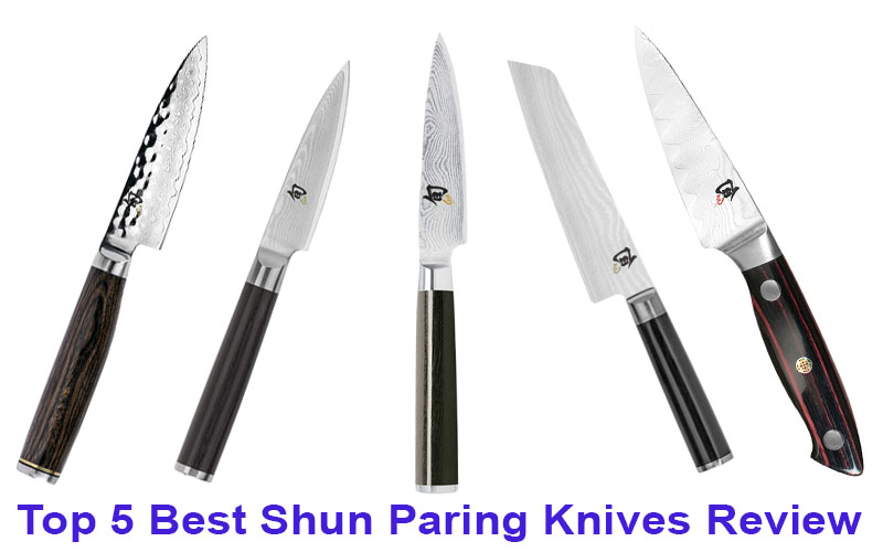Top 5 Best Shun Paring Knife Reviews