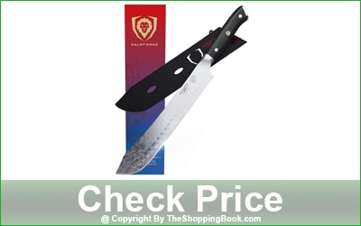 DALSTRONG 10-Inch Butcher Knife