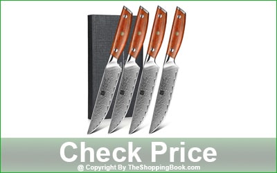 XINZUO 4-Piece Straight-Edge Steak Knife Set