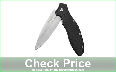 Kershaw Oso Sweet 3.1-Inch Folding Pocket Knife