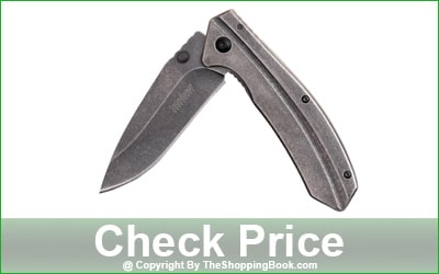 Kershaw Filter 3.2-Inch Folding Pocket Knife